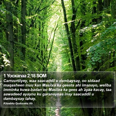 1 Yooxanaa 2:18 SOM Bible Verse Image