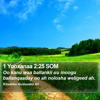1 Yooxanaa 2:25 SOM Bible Verse Image