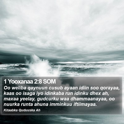 1 Yooxanaa 2:8 SOM Bible Verse Image