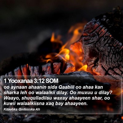 1 Yooxanaa 3:12 SOM Bible Verse Image