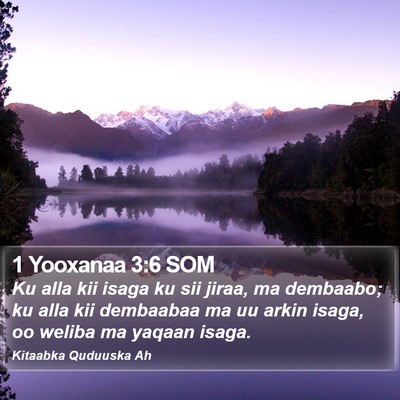 1 Yooxanaa 3:6 SOM Bible Verse Image