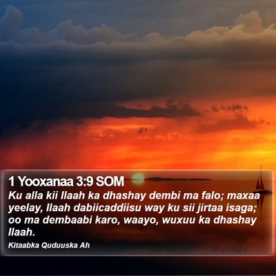 1 Yooxanaa 3:9 SOM Bible Verse Image