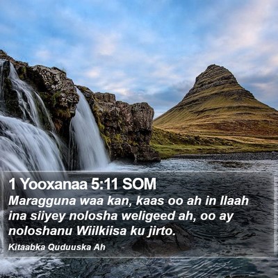 1 Yooxanaa 5:11 SOM Bible Verse Image