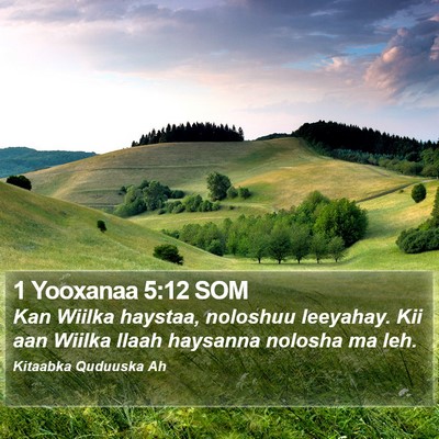 1 Yooxanaa 5:12 SOM Bible Verse Image