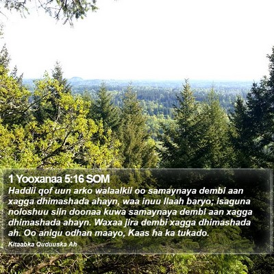 1 Yooxanaa 5:16 SOM Bible Verse Image