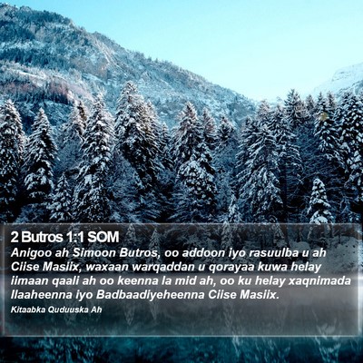2 Butros 1:1 SOM Bible Verse Image