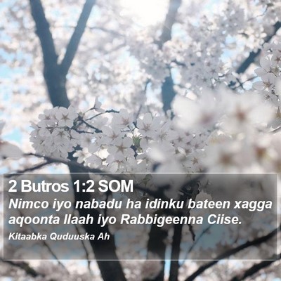 2 Butros 1:2 SOM Bible Verse Image