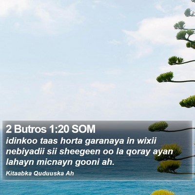 2 Butros 1:20 SOM Bible Verse Image