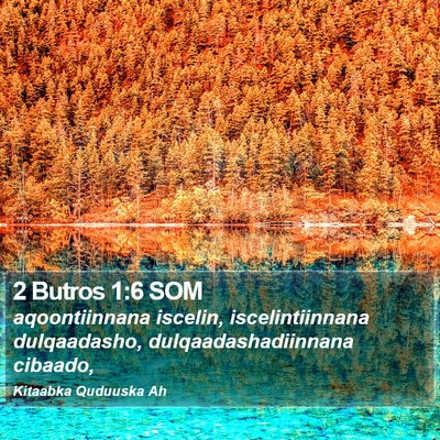 2 Butros 1:6 SOM Bible Verse Image