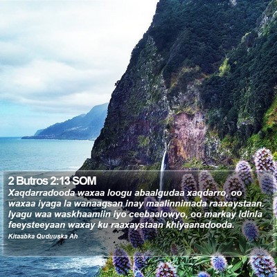 2 Butros 2:13 SOM Bible Verse Image