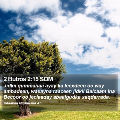 2 Butros 2:15 SOM Bible Verse Image