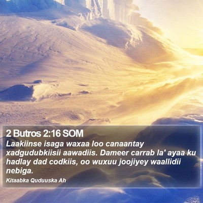 2 Butros 2:16 SOM Bible Verse Image