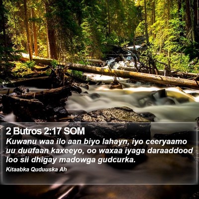 2 Butros 2:17 SOM Bible Verse Image
