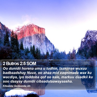 2 Butros 2:5 SOM Bible Verse Image