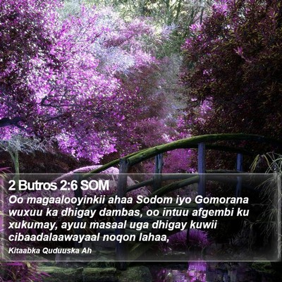 2 Butros 2:6 SOM Bible Verse Image