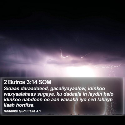 2 Butros 3:14 SOM Bible Verse Image