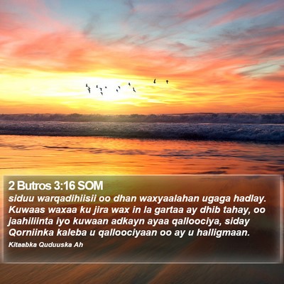 2 Butros 3:16 SOM Bible Verse Image