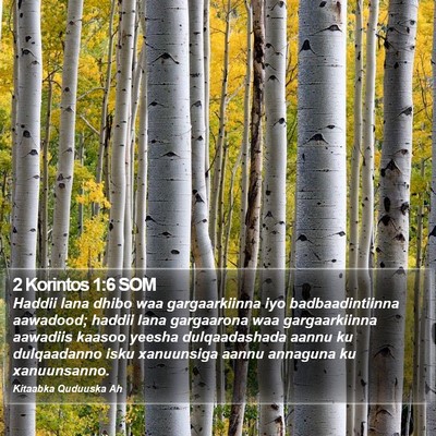 2 Korintos 1:6 SOM Bible Verse Image