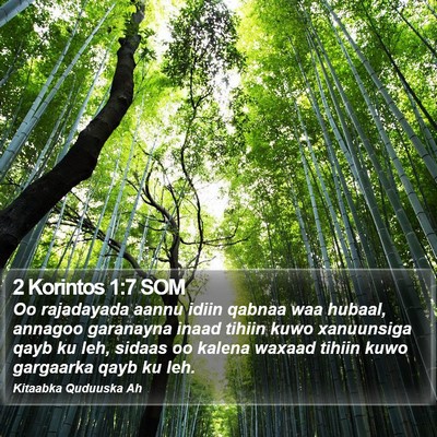 2 Korintos 1:7 SOM Bible Verse Image
