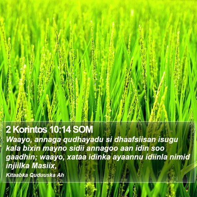 2 Korintos 10:14 SOM Bible Verse Image