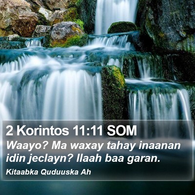 2 Korintos 11:11 SOM Bible Verse Image