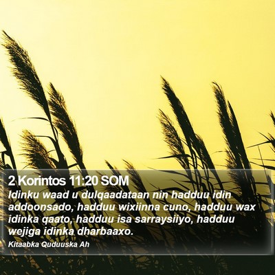 2 Korintos 11:20 SOM Bible Verse Image
