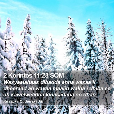 2 Korintos 11:28 SOM Bible Verse Image