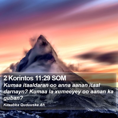 2 Korintos 11:29 SOM Bible Verse Image