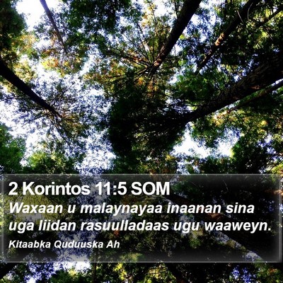 2 Korintos 11:5 SOM Bible Verse Image