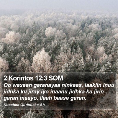 2 Korintos 12:3 SOM Bible Verse Image