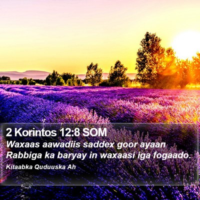 2 Korintos 12:8 SOM Bible Verse Image