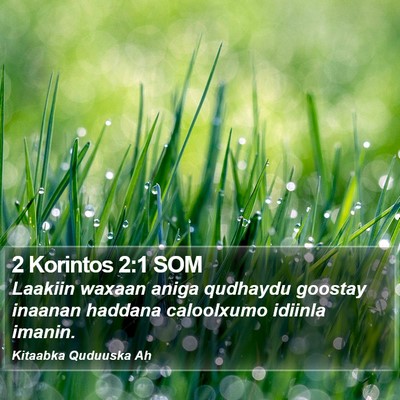 2 Korintos 2:1 SOM Bible Verse Image