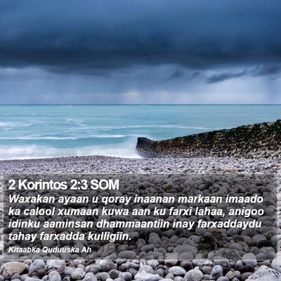 2 Korintos 2:3 SOM Bible Verse Image