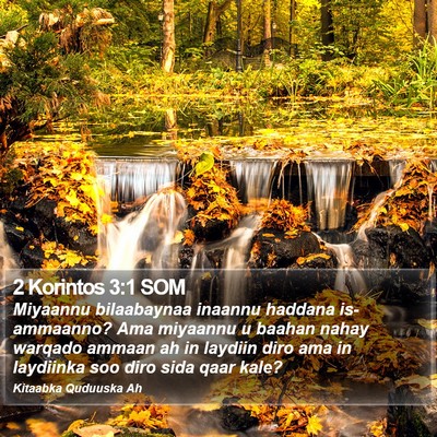 2 Korintos 3:1 SOM Bible Verse Image