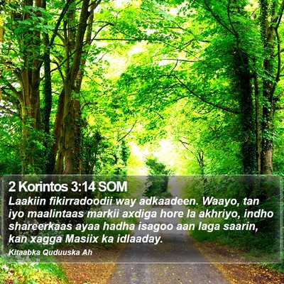 2 Korintos 3:14 SOM Bible Verse Image