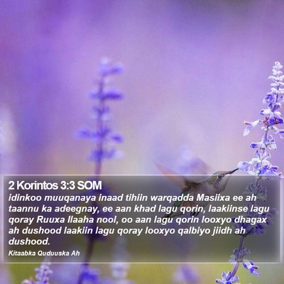 2 Korintos 3:3 SOM Bible Verse Image