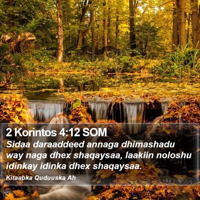 2 Korintos 4:12 SOM Bible Verse Image