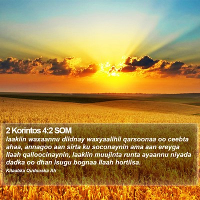 2 Korintos 4:2 SOM Bible Verse Image