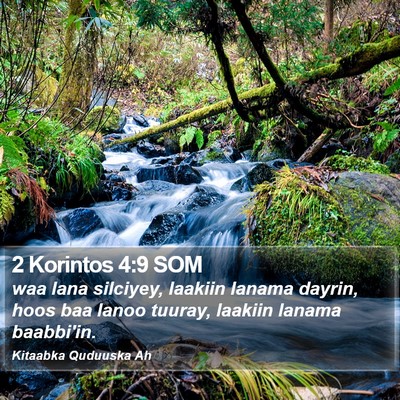 2 Korintos 4:9 SOM Bible Verse Image
