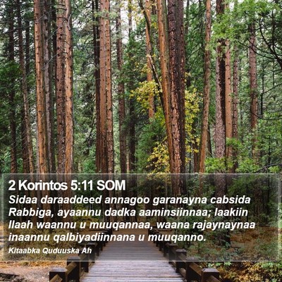 2 Korintos 5:11 SOM Bible Verse Image