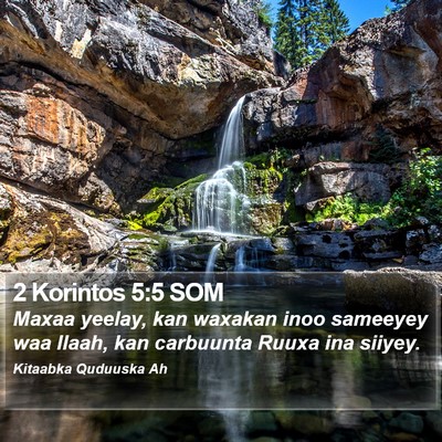 2 Korintos 5:5 SOM Bible Verse Image