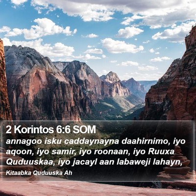2 Korintos 6:6 SOM Bible Verse Image