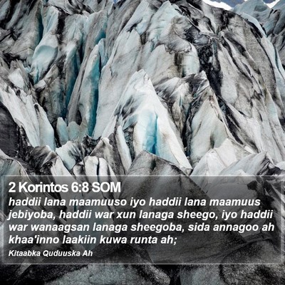 2 Korintos 6:8 SOM Bible Verse Image