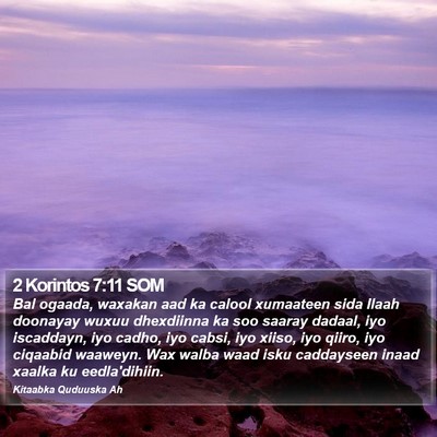 2 Korintos 7:11 SOM Bible Verse Image