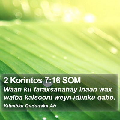 2 Korintos 7:16 SOM Bible Verse Image