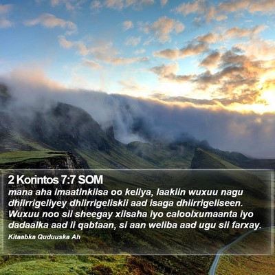 2 Korintos 7:7 SOM Bible Verse Image