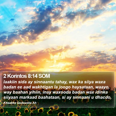 2 Korintos 8:14 SOM Bible Verse Image