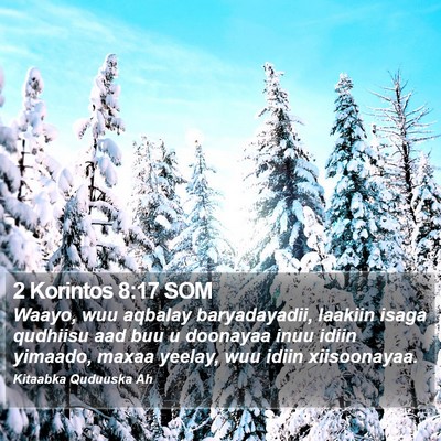 2 Korintos 8:17 SOM Bible Verse Image