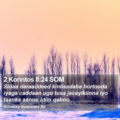 2 Korintos 8:24 SOM Bible Verse Image