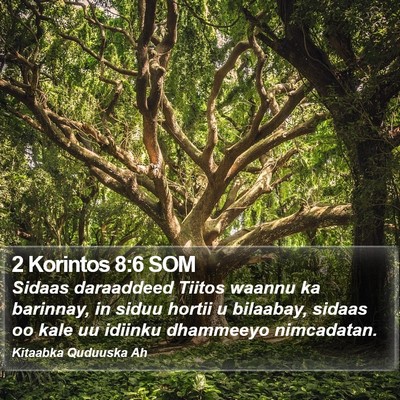 2 Korintos 8:6 SOM Bible Verse Image